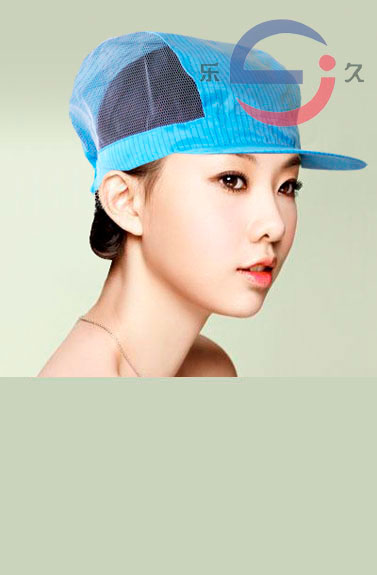 LJ-029 防静电工帽