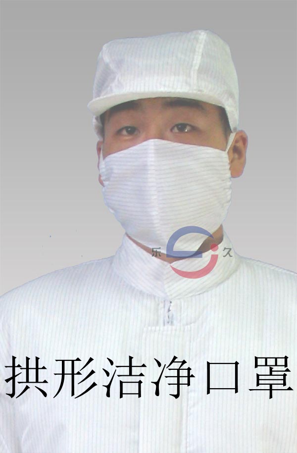LJ-107 拱形洁净口罩